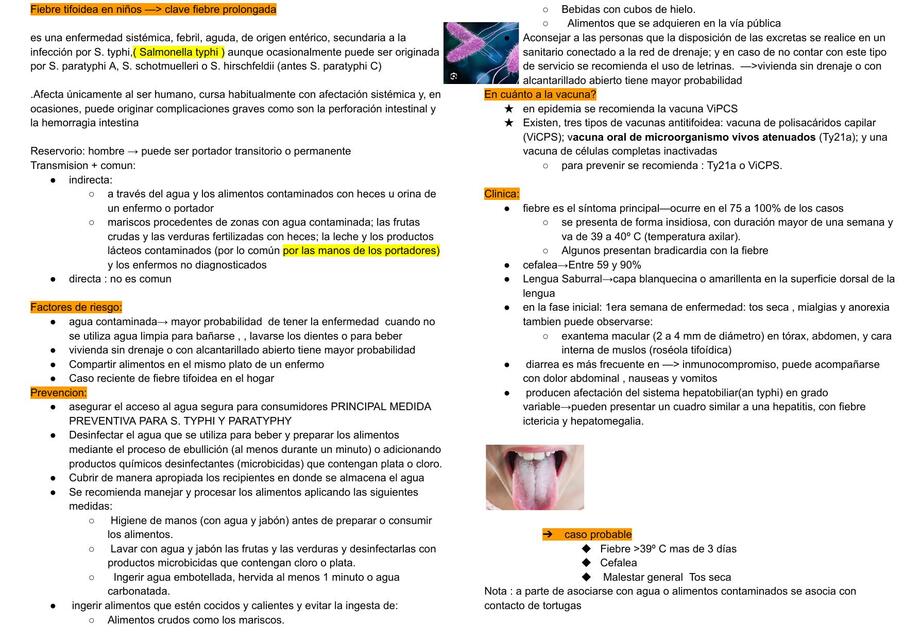 Fiebre tifoidea