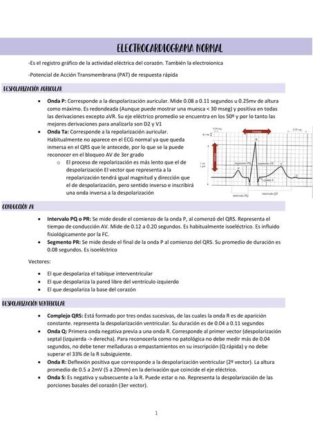 Electrocardiograma normal