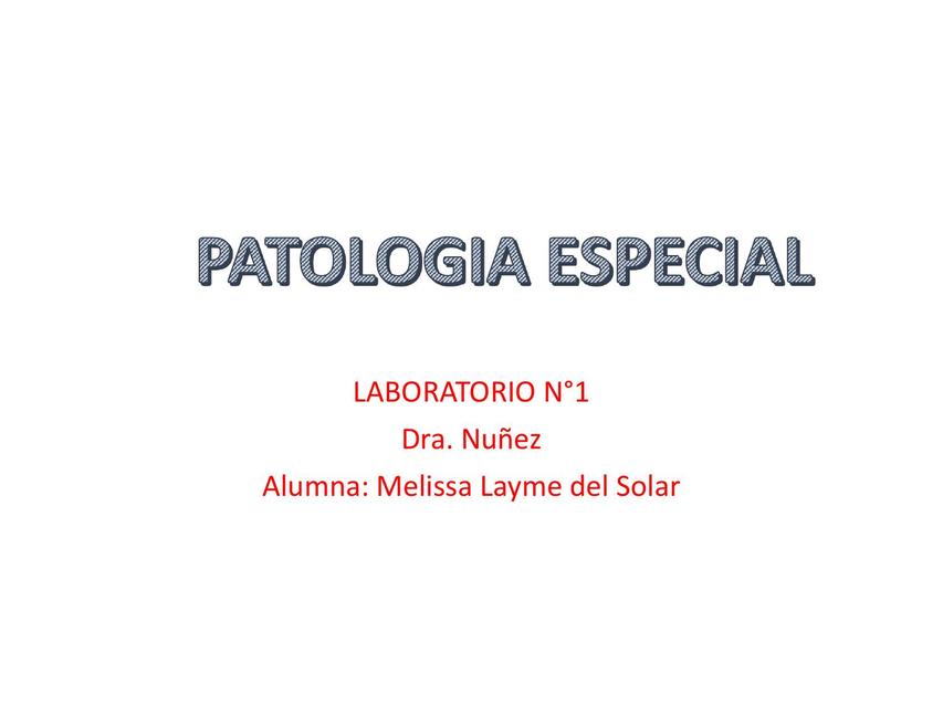 Patología especial