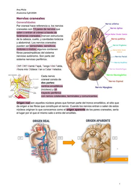 Nervios craneales COMPLETO