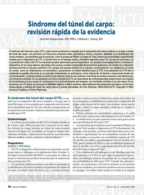 Síndrome del túnel del carpo revisión rápida de la evidencia