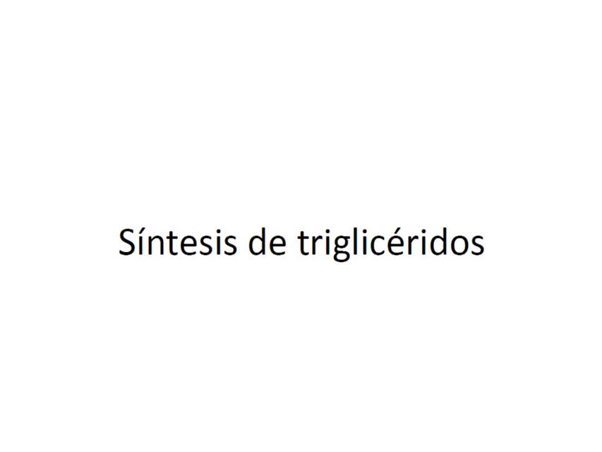 Síntesis de triglicéridos 