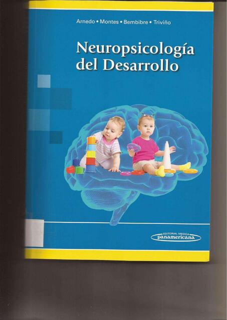 Neuropsicología del Desarrollo