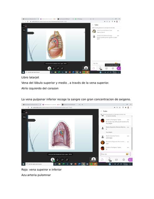 circulacion bronquial y pulmonar guilen