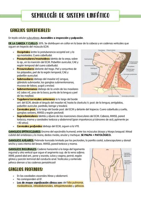 Semiología de sistema linfático 