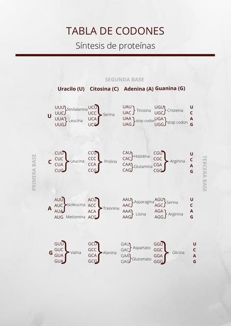 Tabla de codones