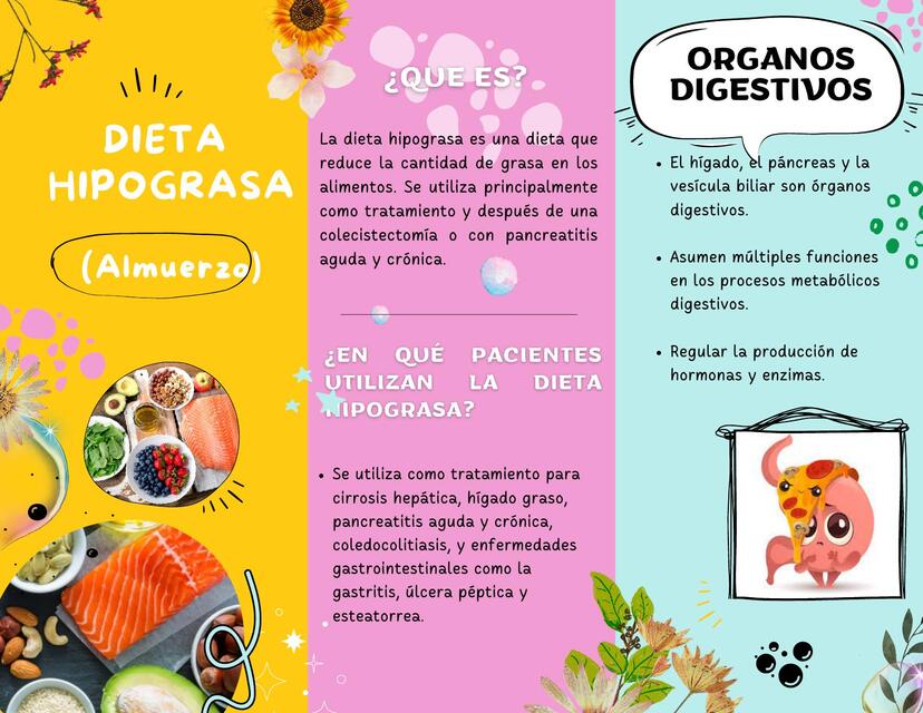 DIETA DE LA HIPOGRASA