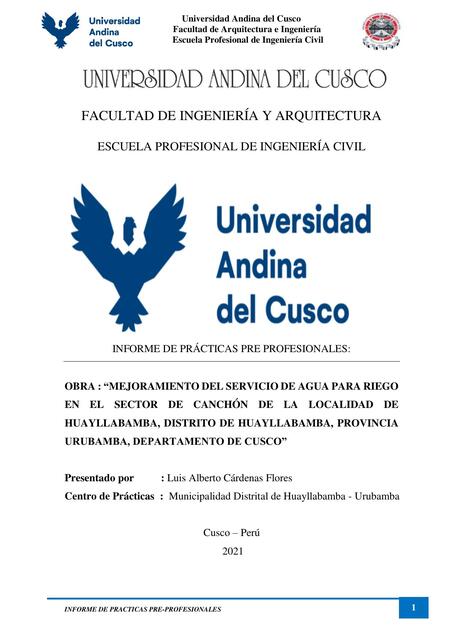 INFORME DE PRACTICAS PRE PROFESIONALES