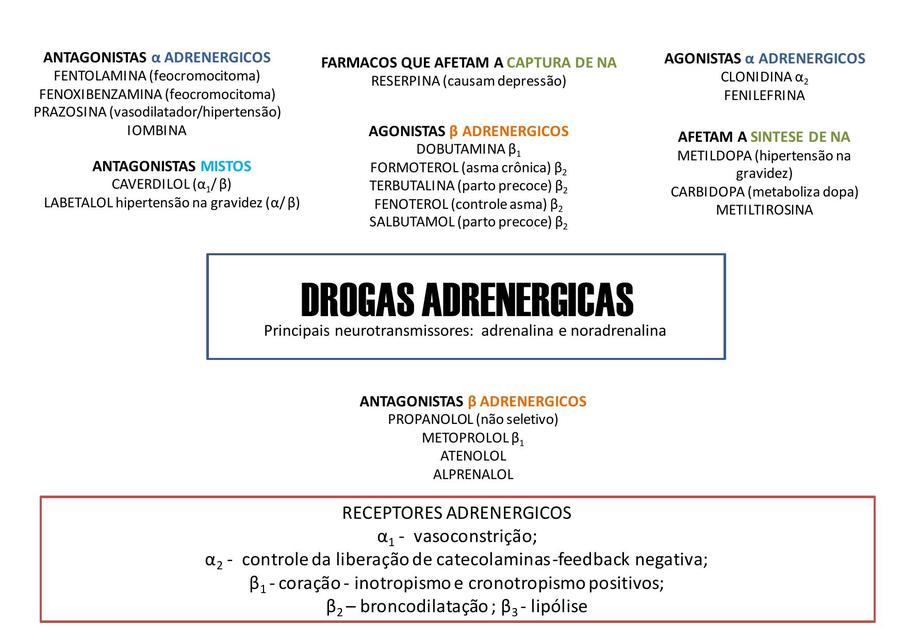 Farmacologia Drogas Adrenergicas Apuntes De Medicina Resumenes De Medicina Udocz