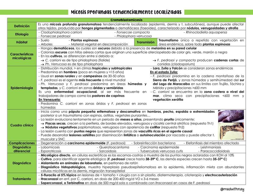 MICOSIS PROFUNDAS TENDENCIALMENTE LOCALIZADAS