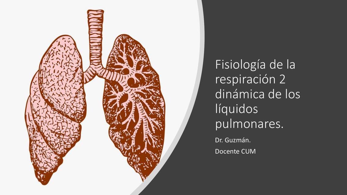 Fisiología de la respiración 