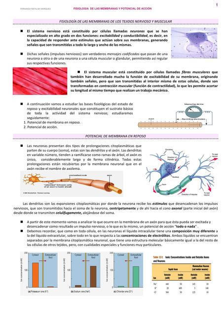 Fisiología de las membranas de los tejidos nervioso y muscular