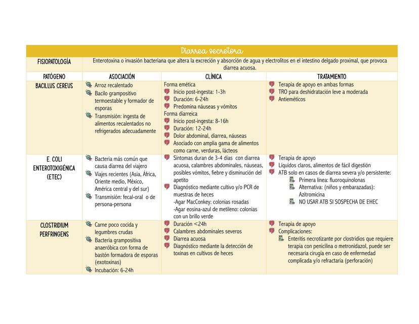 Gastroenteritis bacterianas