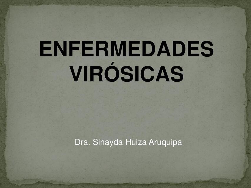 17 ENFERMEDADES VIRICAS