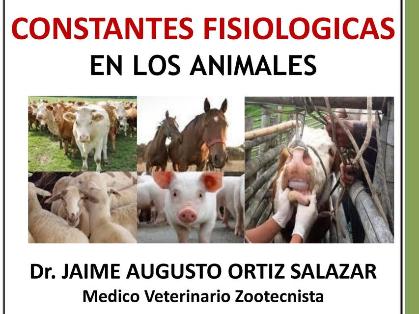 fisiologia animal