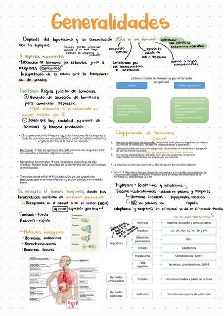 Generalidades Endocrinologia