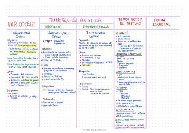 Patología Escrotal