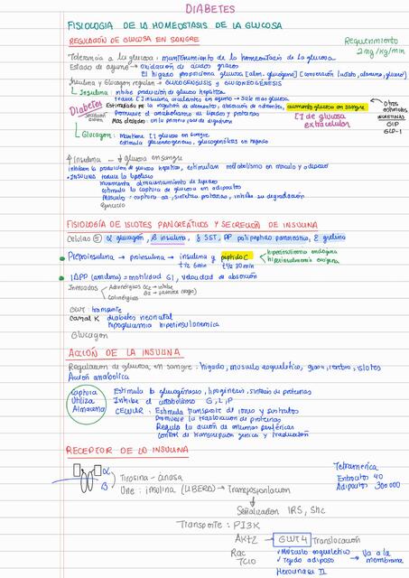 Tratamiento diabetes