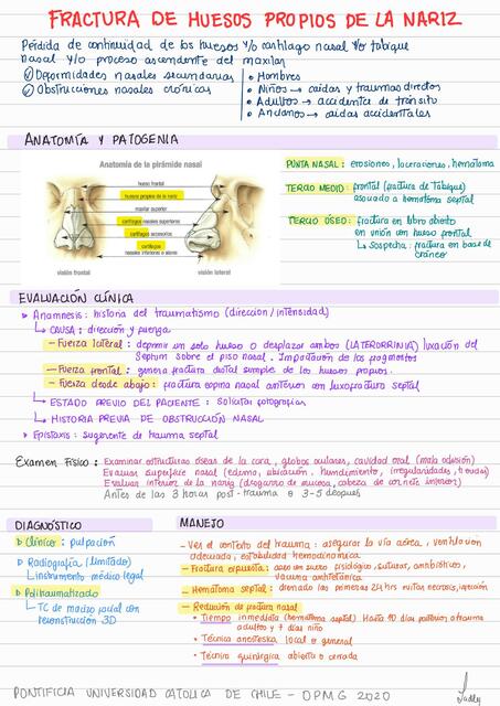 Fractura de huesos propios de la nariz Hematoma Au