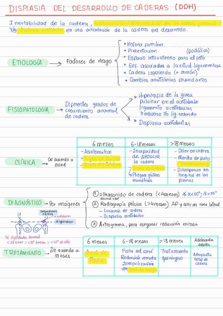 Ortopedia y Traumatología - Compendio