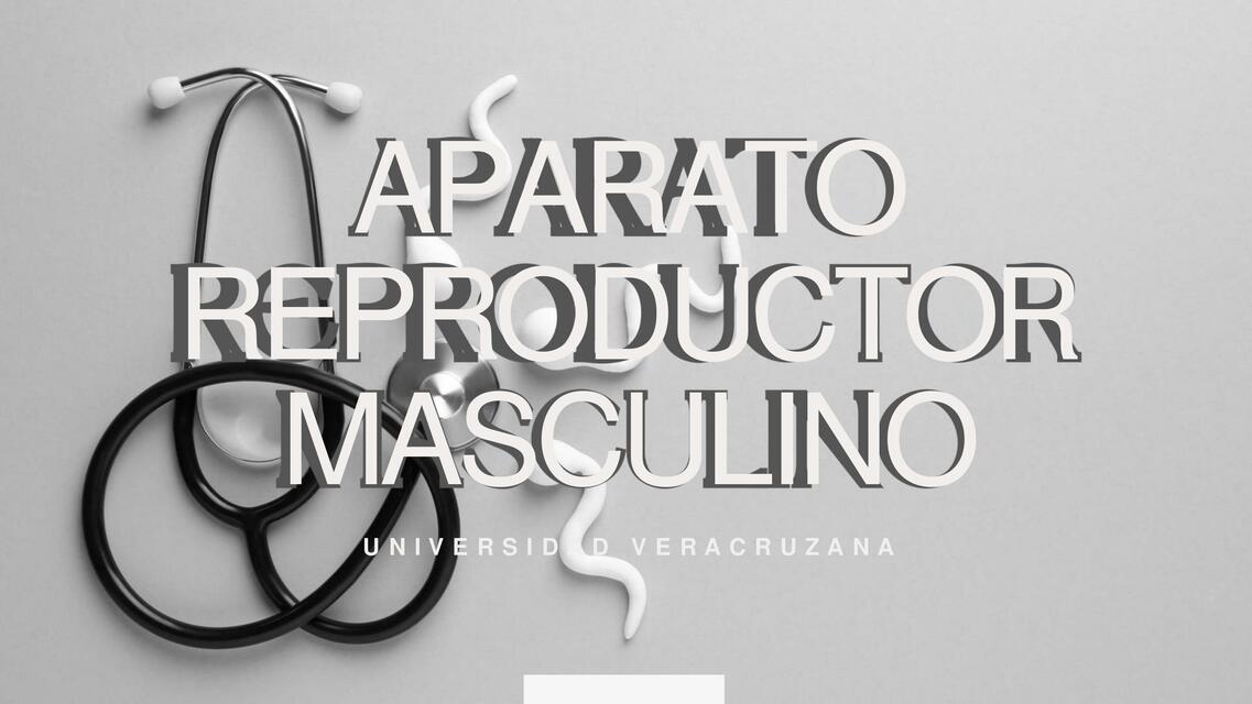 aparato reproductor