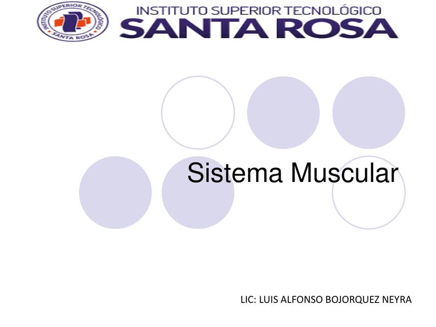 SEMANA 4 Sistema Muscular