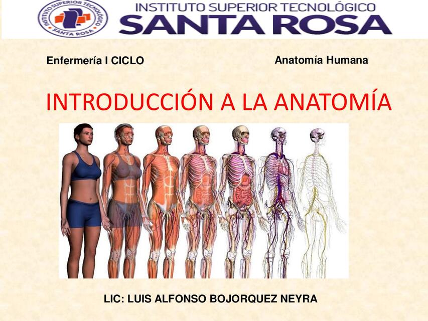 INTRODUCCIÓN A LA ANATOMÍA