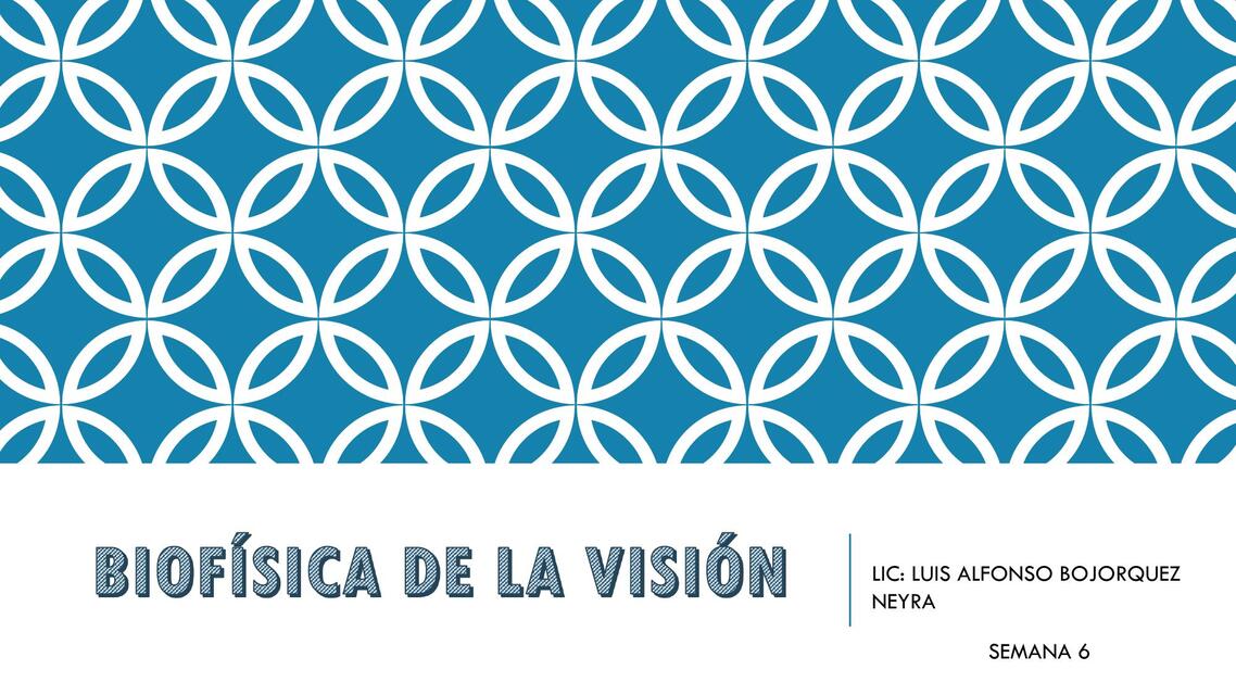 SEMANA 6 Biofísica de la visión