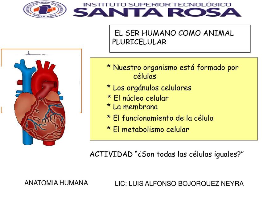 SEMANA 3 EL SER HUMANO COMO ANIMAL PLURICELULAR