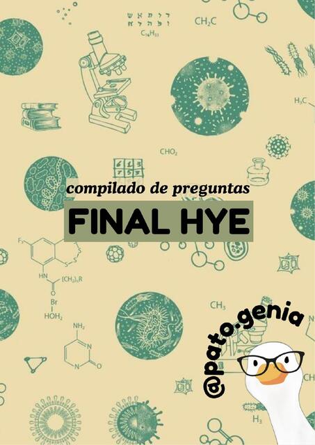 Compilado de preguntas final hye