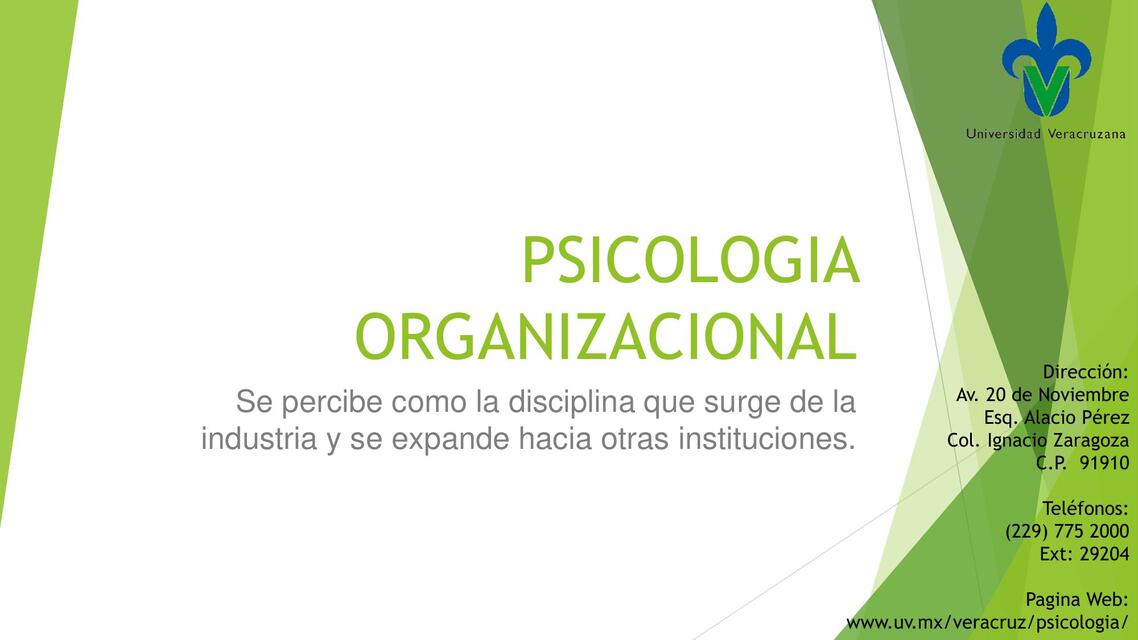 Psicología organizacional 