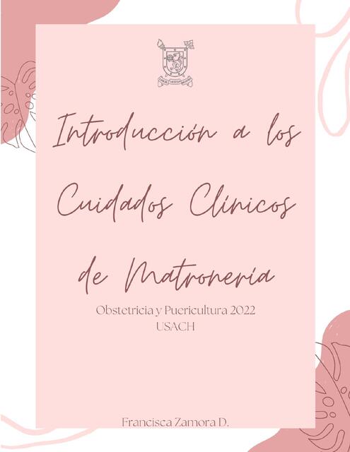 Libro ICCM COMPLETO