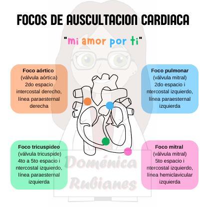 Focos de Auscultación Cardiaca