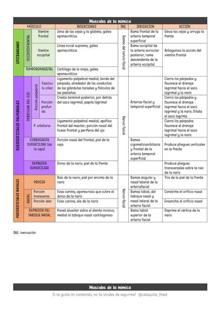 Musculos de la mimica