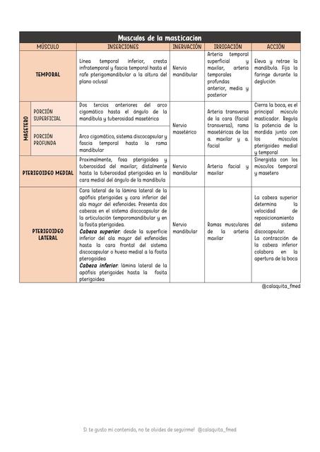 Musculos de la masticacion