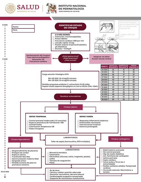 Flujograma CHOQUE NEONATAL INPER 1