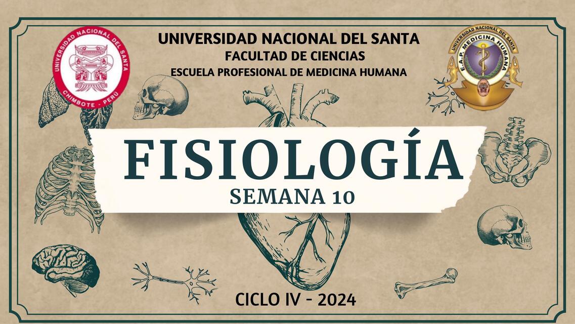 Fisiología Sensorial y Transducción