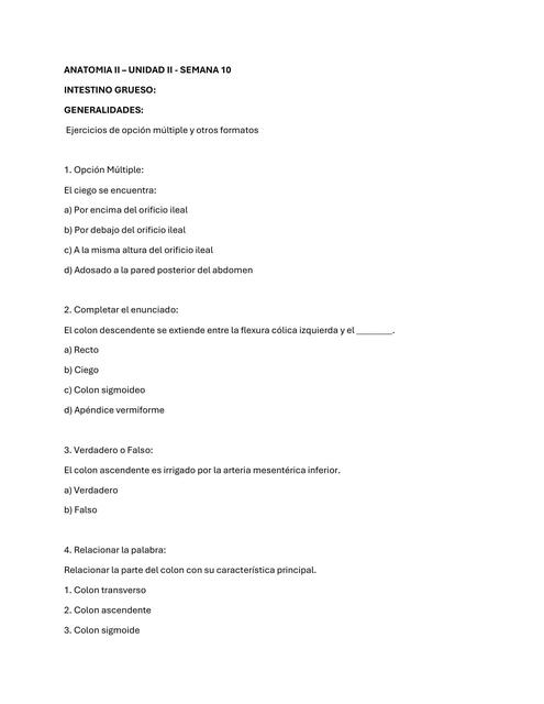 ANATOMIA - INTESTINO GRUESO Y AORTA ABDOMINAL