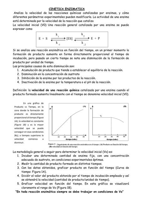 Cinetica enzimatica 2 factores que la afecta e inibidores