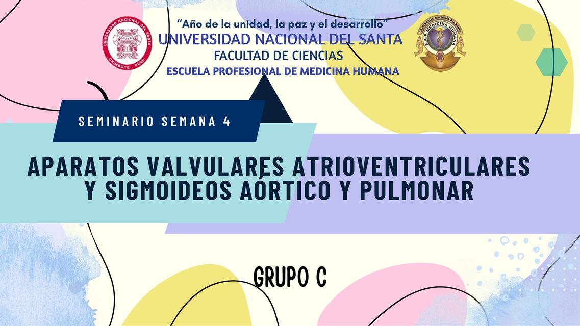 Aparatos valvulares atrio ventriculares y sigmoides aórtico y pulmonar 