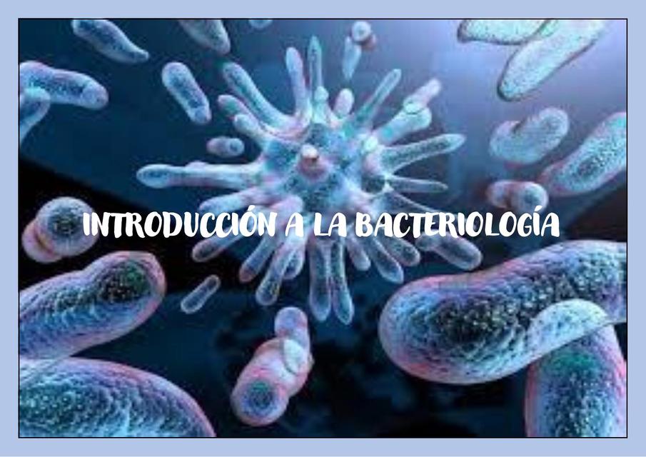 BACTERIO HISTORIA TAXONOMÍA Y CLASIFICACIÓN