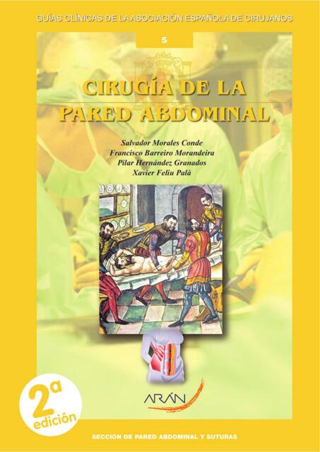 cirugia pared abdominal