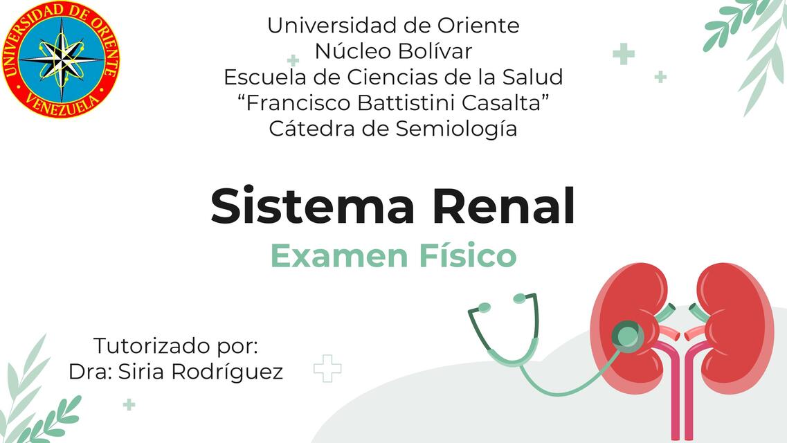 Examen Físico del Sistema Renal