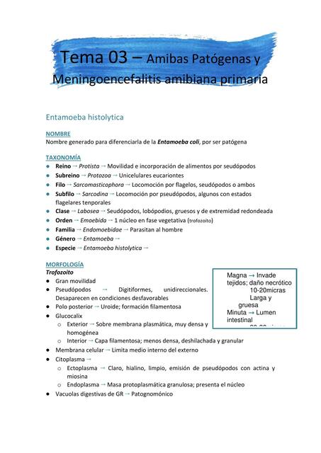 Tema 03 Amebas patógenas