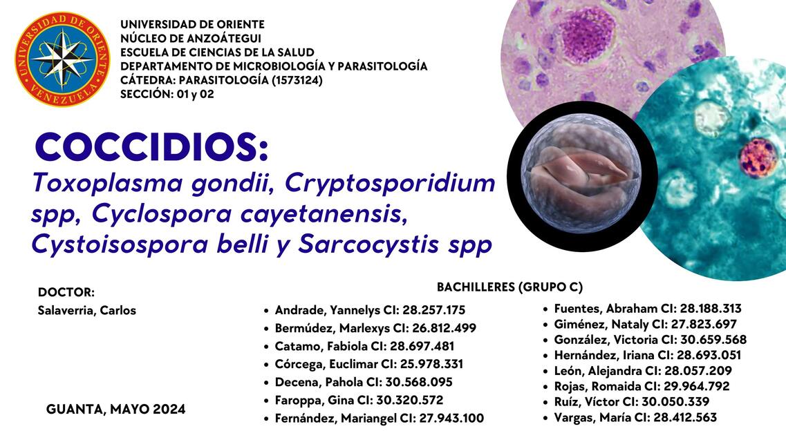 SEMINARIO 2 COCCIDIOS GRUPO C def