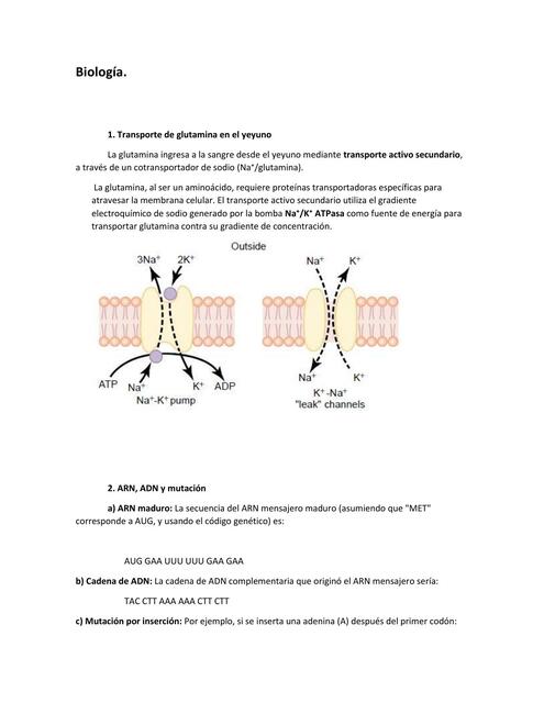 Ejercicios Resueltos problemas biología