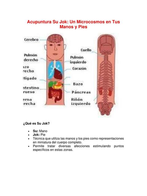 Acupuntura Su Jok