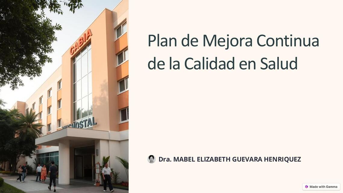 PLAN DE MEJORA