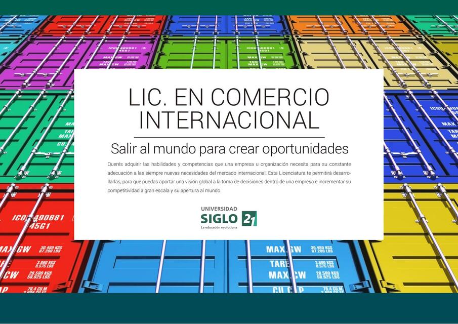 lic comercio internacional