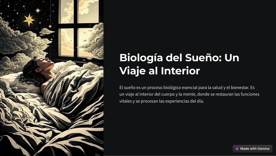 Biologia del Sueno Un Viaje al Interior